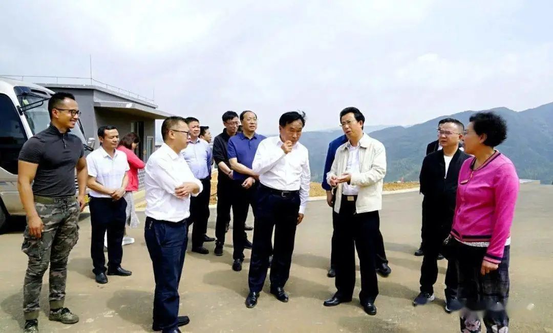 六盤水市委副書記、市長張定超到盤州調研，為韓偉蛋業出良策解難題