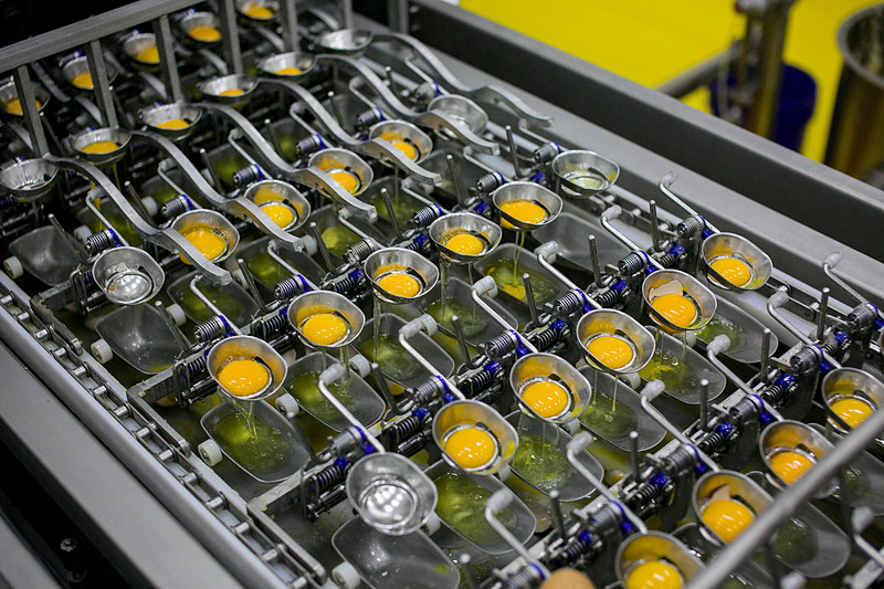 蛋品加工.jpg 蛋品加工.jpg