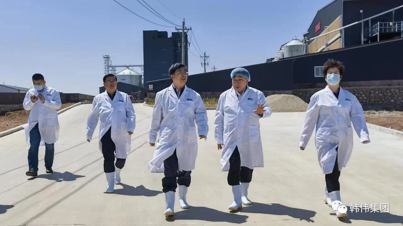 大連市人大常委會副主任盧林來朝陽韓偉蛋業(yè)調(diào)研